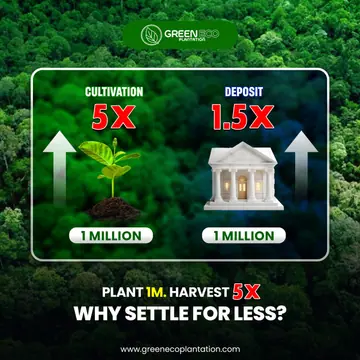 Green Eco Plantation post comparing cultivation and deposit returns