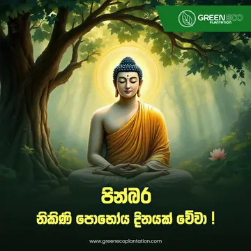 Green Eco Plantation Poson Poya greeting post