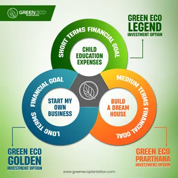Green Eco Plantation post explaining its Golden, Legend and Prarthana investment options