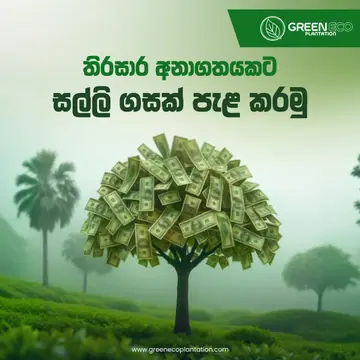 Green Eco Plantation Sinhala post with a money tree